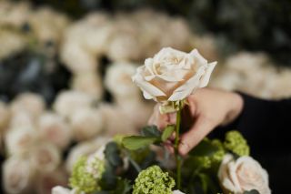 The Florist at The Dorchester-Dorchester rose-highres2