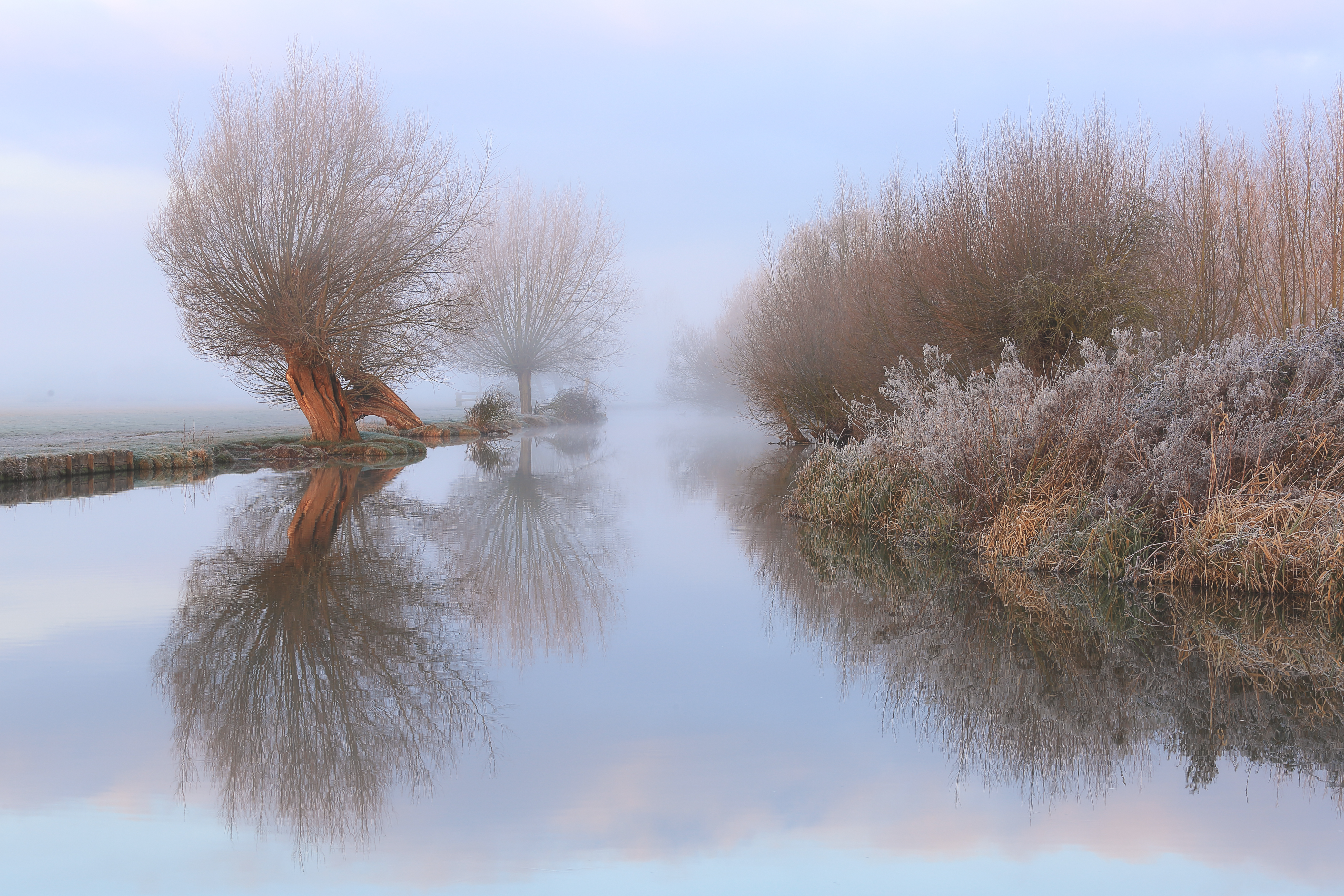 Beautiful cold-looking landscape