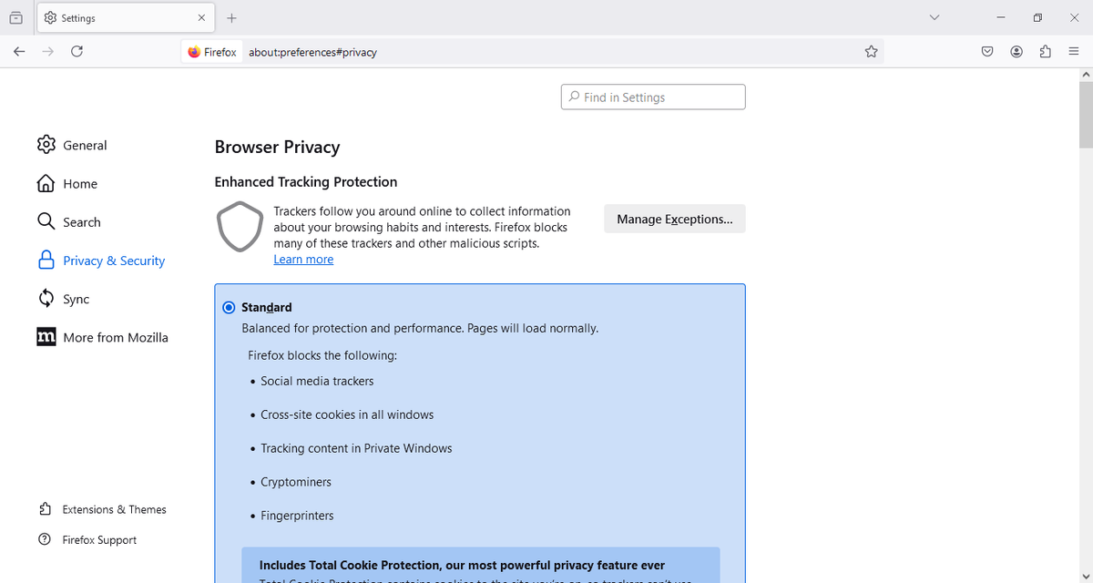 Firefox browser review