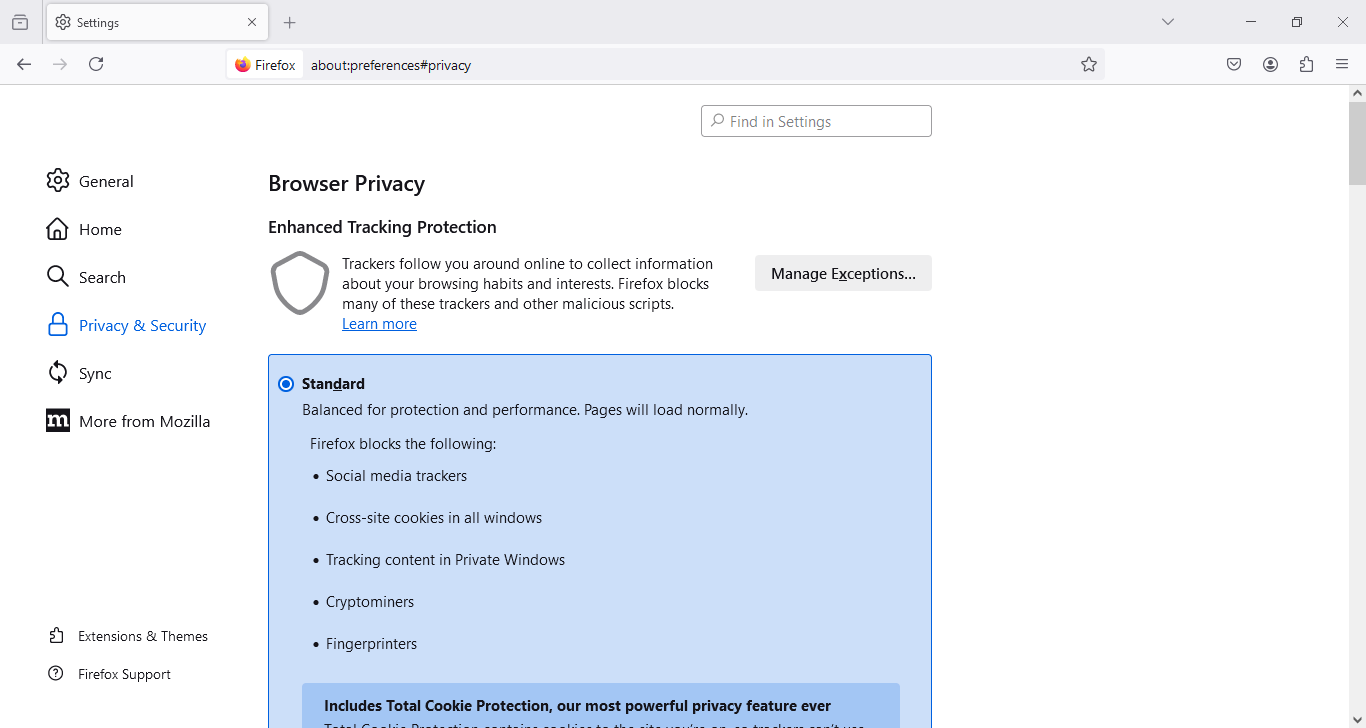Firefox browser review