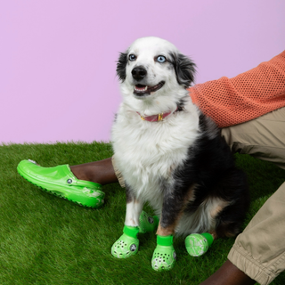 Dog and person wearing matching green Crocs sitting on fake grass with a pink background