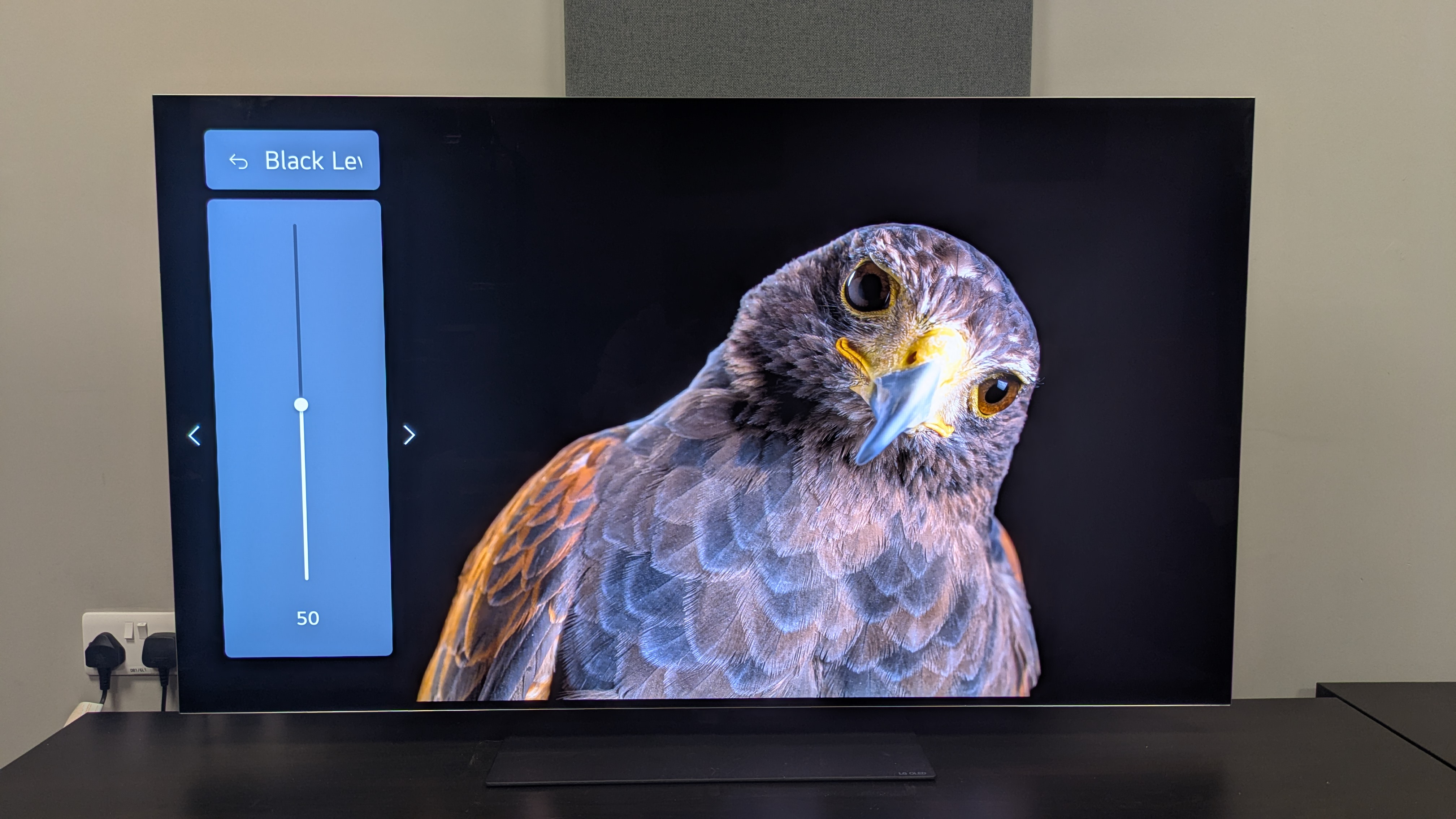 LG G5 with eagle on screen with black level menu set to 50