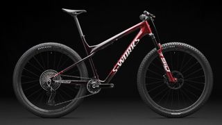 Specialized Epic World Cup bike