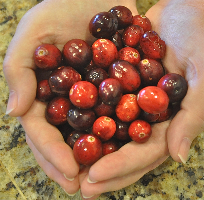 cranberries, cranberry bogs, plants