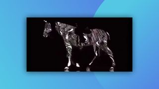 Optical illusion horse