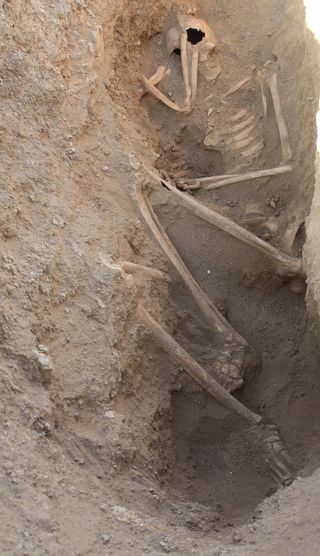 The person seen here was buried with their legs at a 45-degree angle and the right arm positioned over their face.