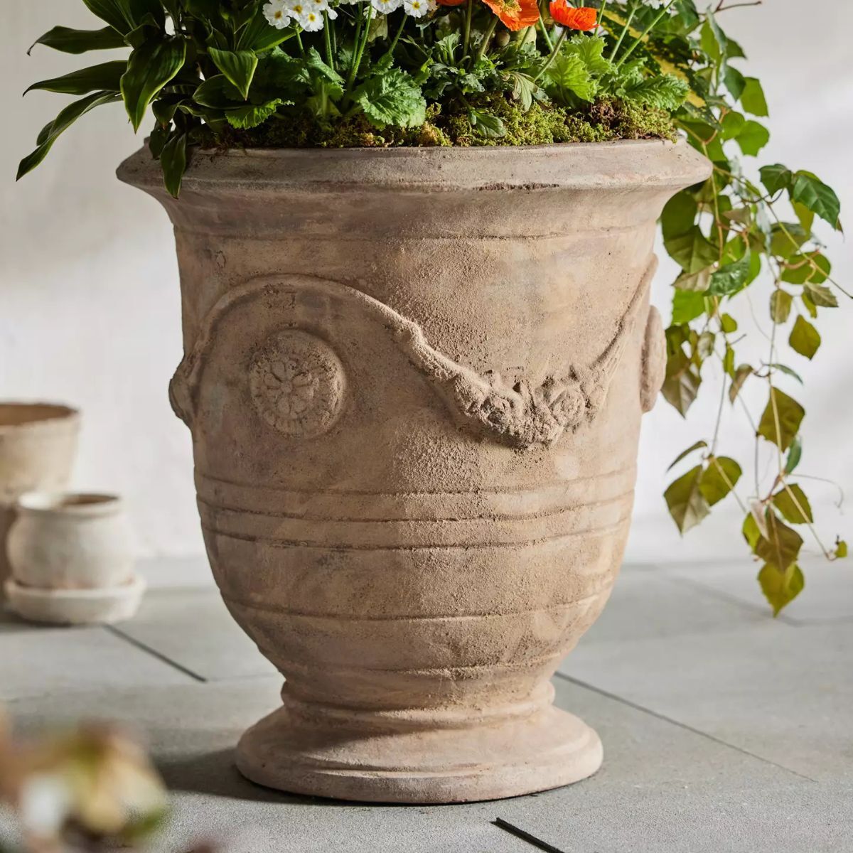 Terracotta pot