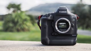 Canon EOS-1D X Mark III: mirrorless/DSLR hybrid with 20.1MP sCanon EOS-1D X Mark III: 20.1MP sensor, 5.5K 12-bit RAW, "Smart" optical joystickensor, 5.5K 12-bit RAW, optical joystick, HEIF & HDR PQ