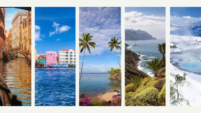 Comp image of the best places to visit in February