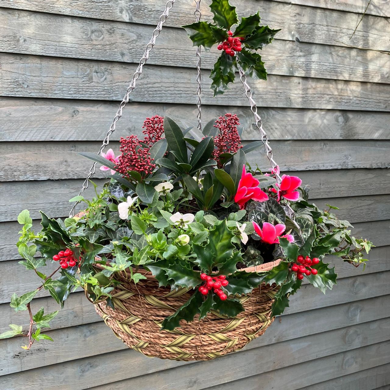 winter hanging basket 