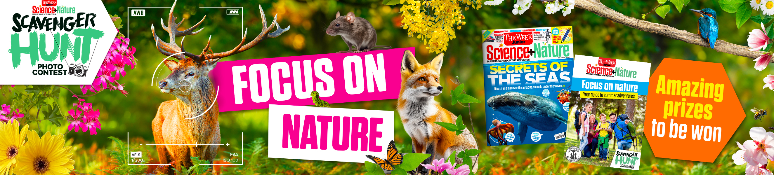 Focus on Nature