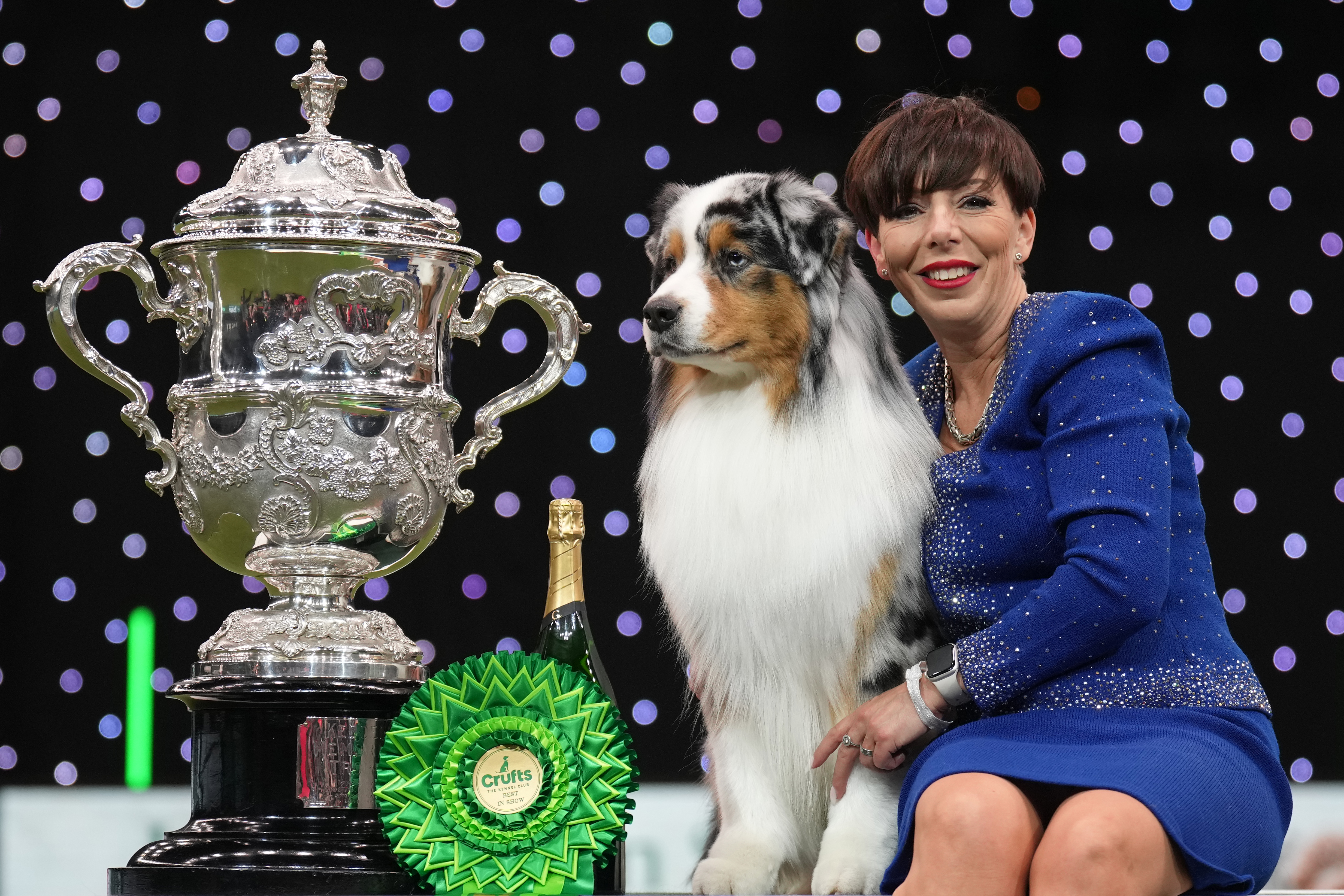 Australian shepherd Brighttouch Drift The Line Through Dialynne with handler Melanie Raymond and the Crufts Best in Show trophy at the NEC in Birmingham, 2024.