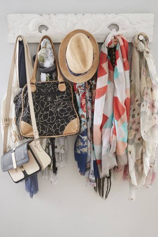 Clothes hooks with an assortment of accessories