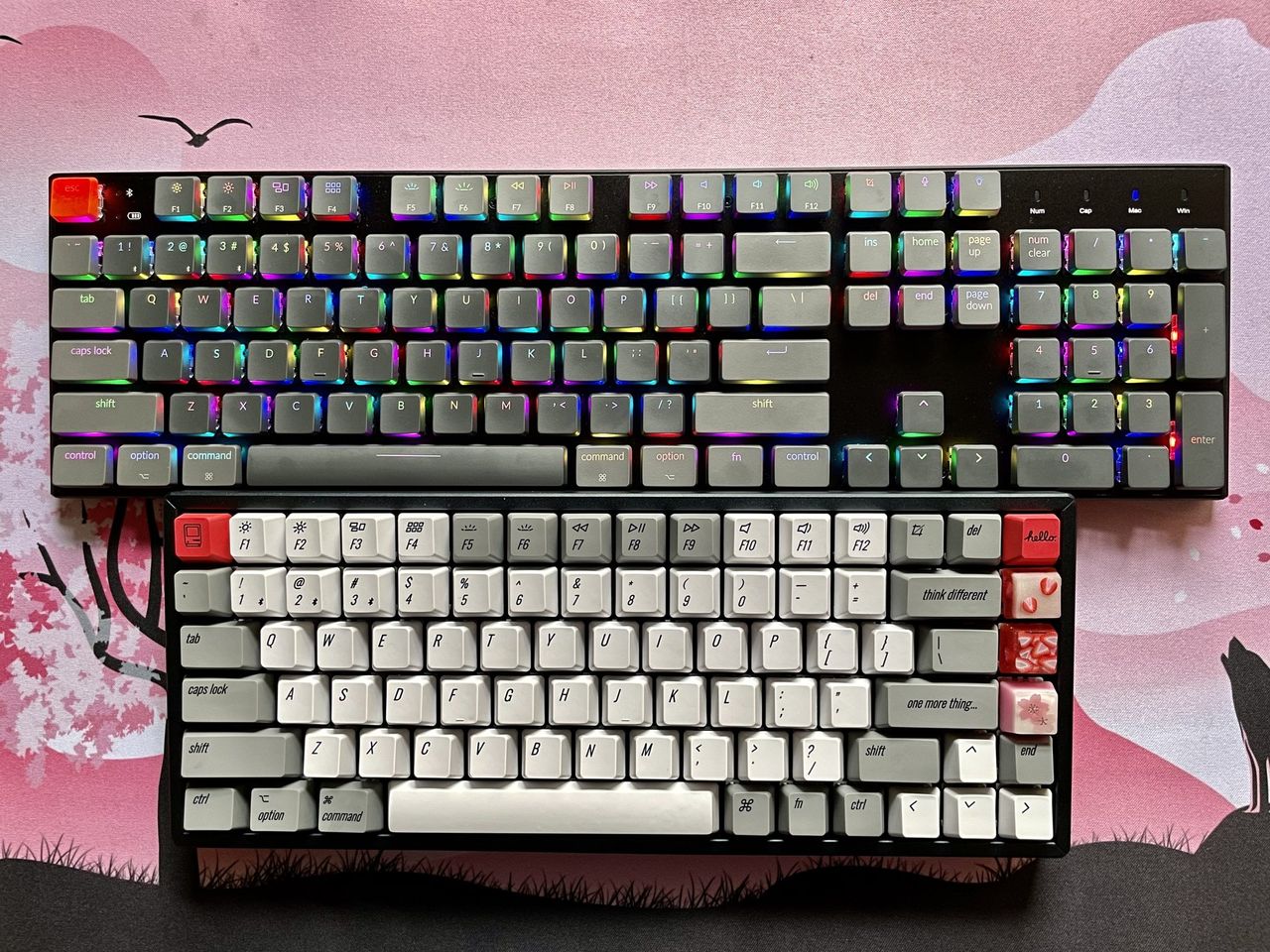 Keychron K1 V4 Vs K2 V