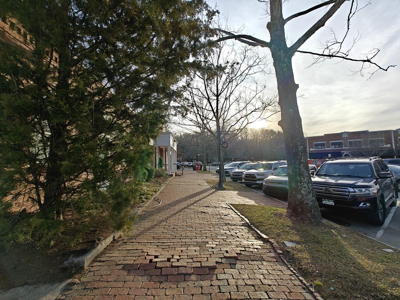 OnePlus 12 ultrawide camera sample