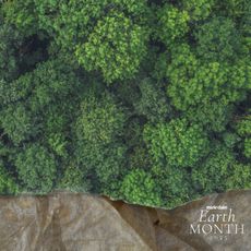 An aerial view photo of a rainforest 