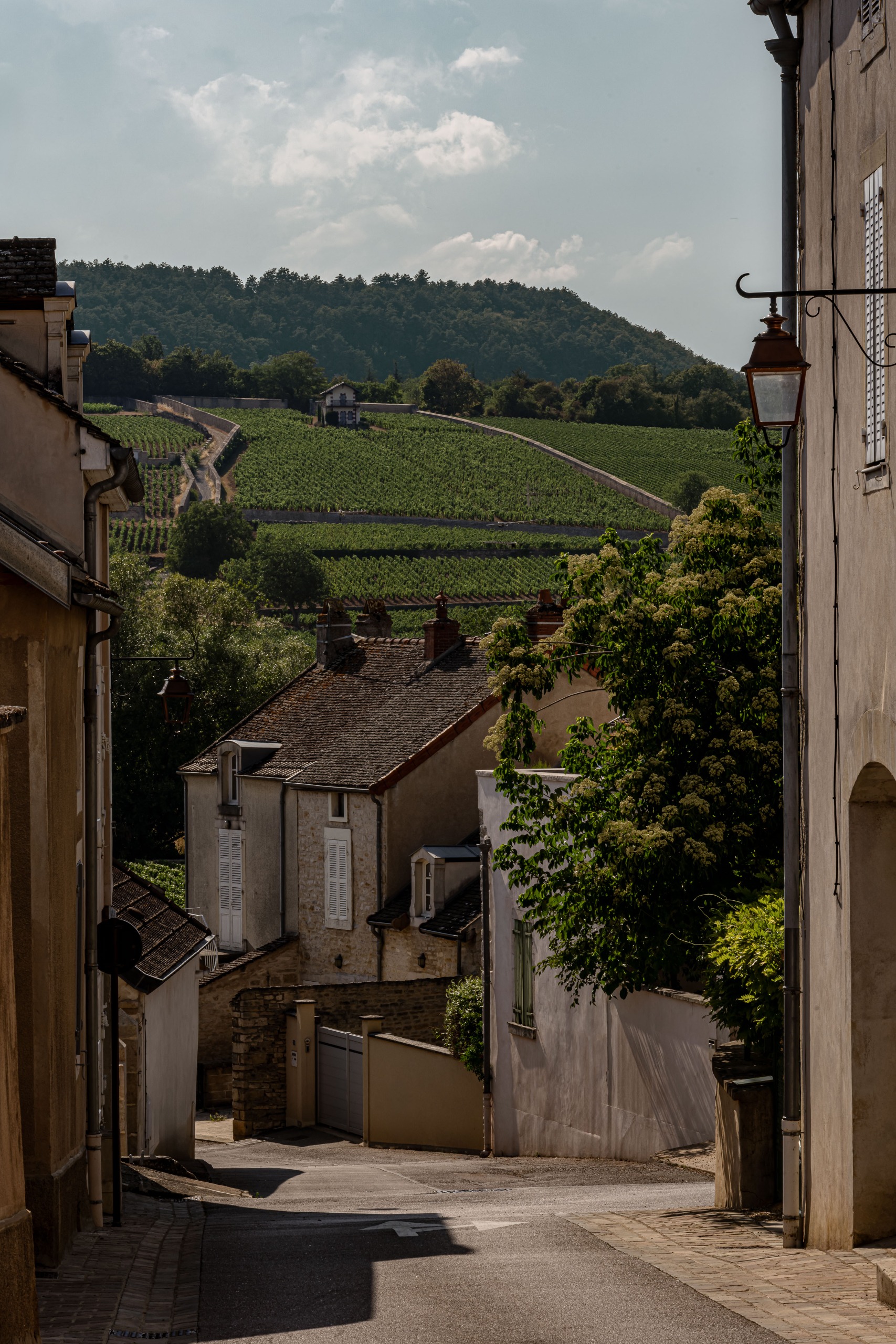 Maison Chevreuil