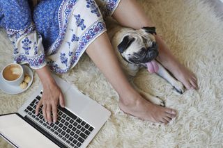 A person sat on a fluffy rug with their dog, laptop, and a coffee.