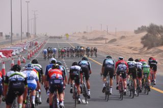 A peloton splits into echelons at the windswept Abu Dhabi Tour