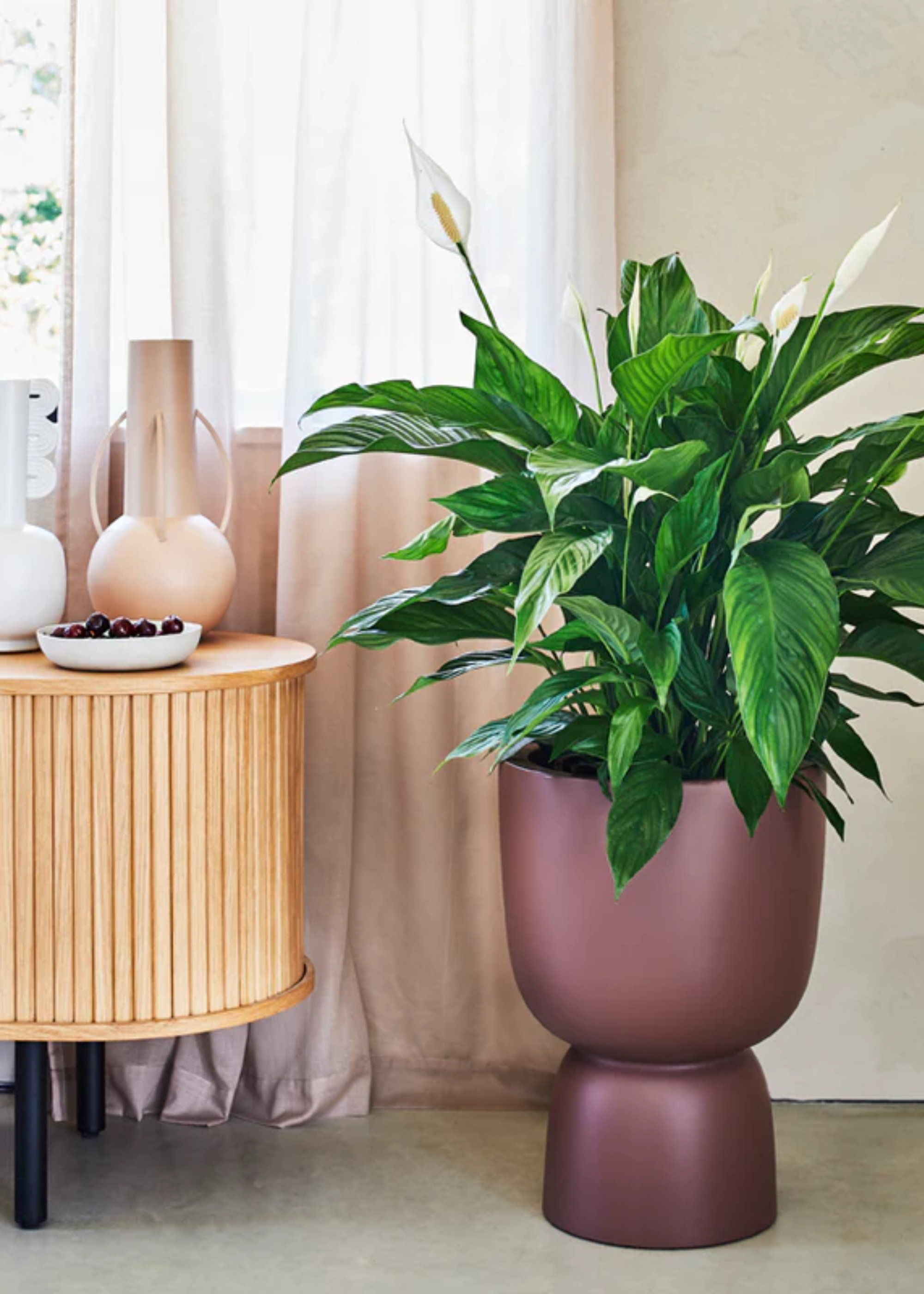 A peace lily in a footed maroon planter by a wood sideboard with a bowl of berries and two vases