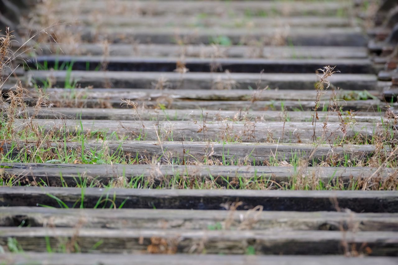 Fujifilm XF 500mm F5.6 R LM OIS WR