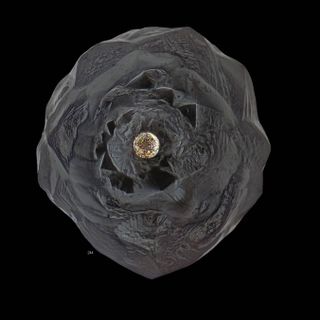 Turtleback micrometeorite
