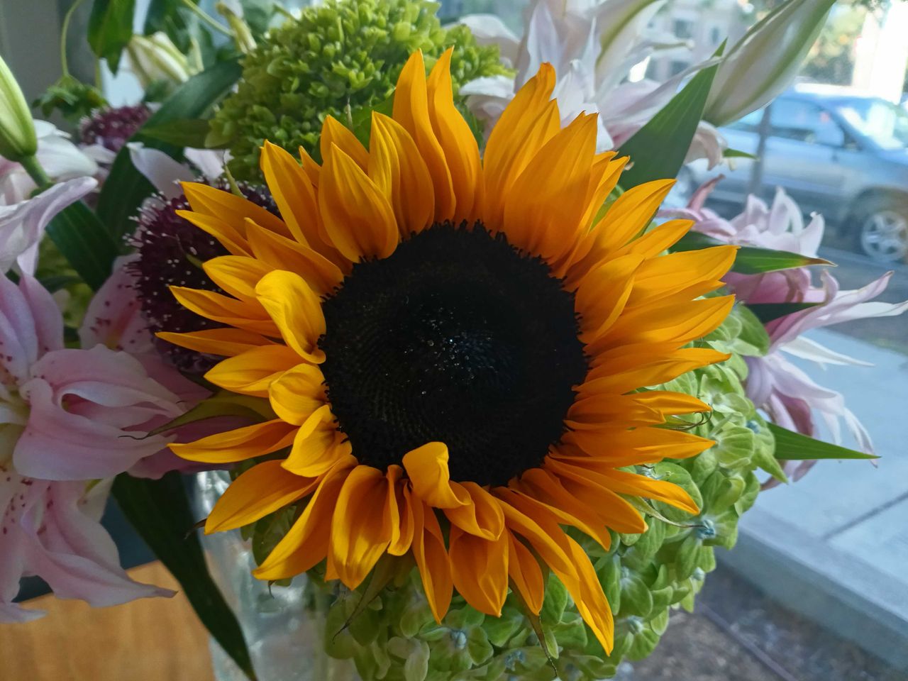 A sunflower