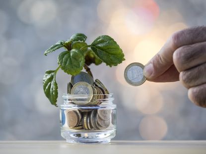 pot of money with a growing plant