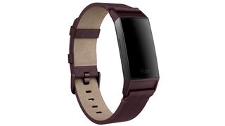 Image credit: Fitbit / Horween