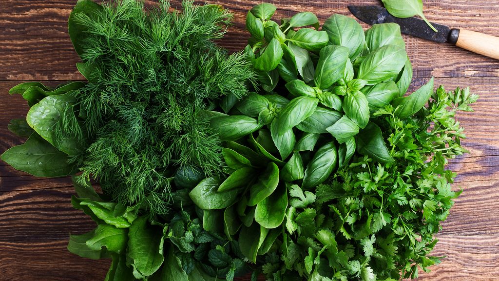 When to plant herbs for a plentiful, fresh supply Homes & Gardens