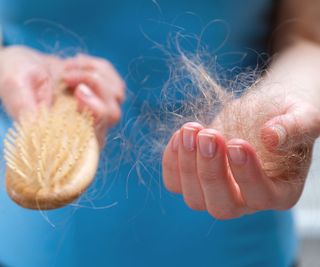 A woman's hands holding a hairbrush and handful of hair