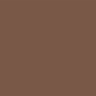 brown paint swatch