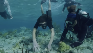 Kate Middleton diving in a black wetsuit while grabbing coral