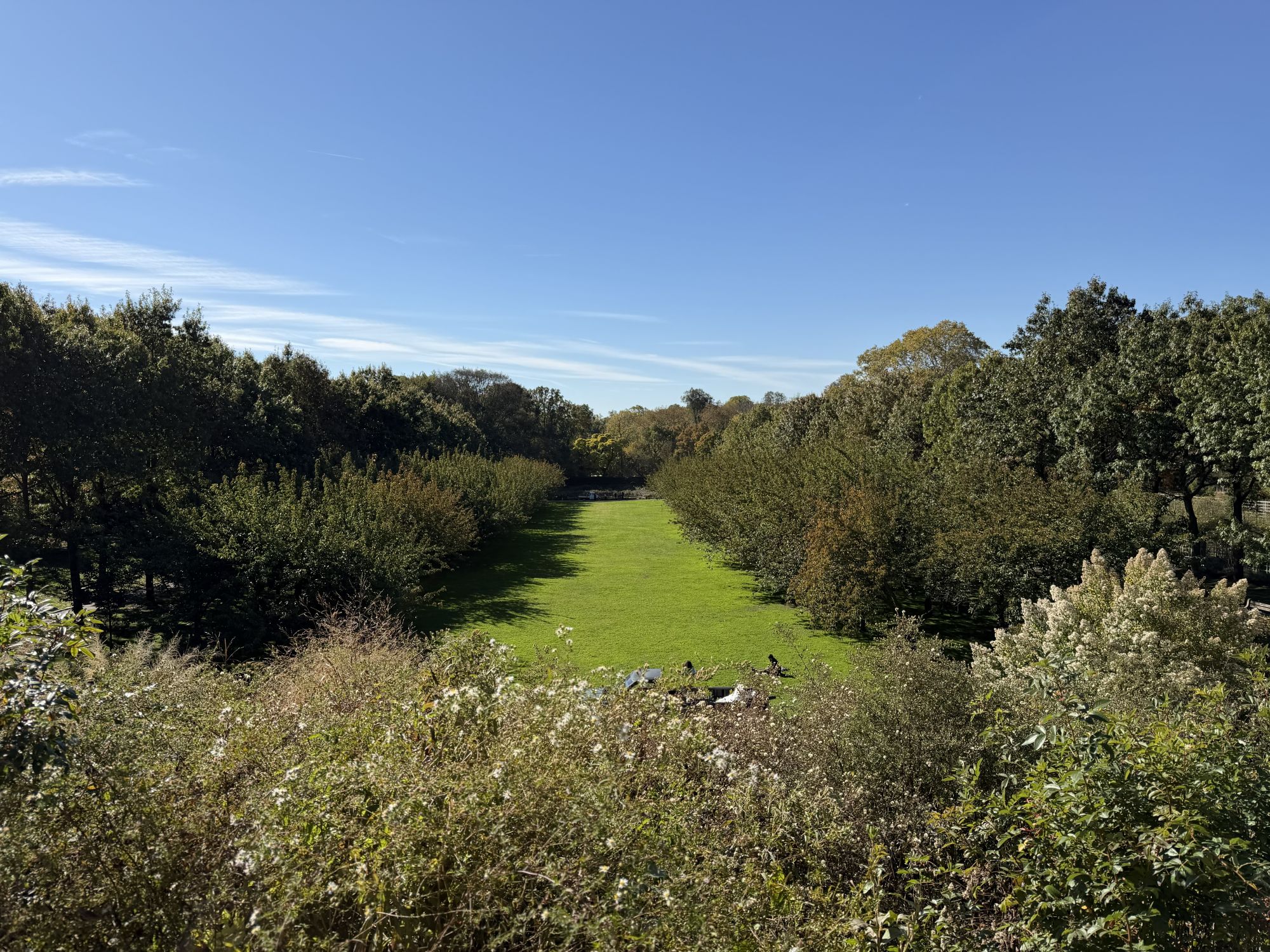 Apple iPhone 17 Pro Max ultrawide sample.