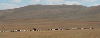 Mongolian horizon, climate change impact