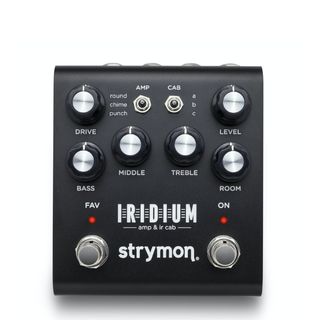 Best guitar amps: Strymon Iridium