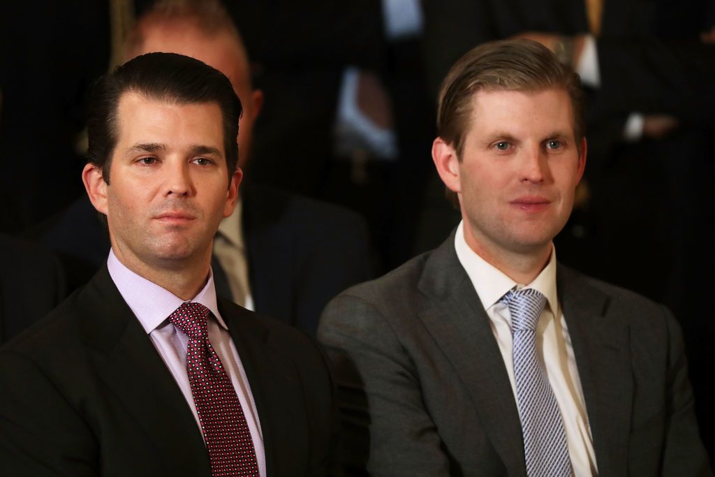 Donald Trump Jr. and Eric Trump. 