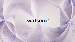 IBM watsonx logo
