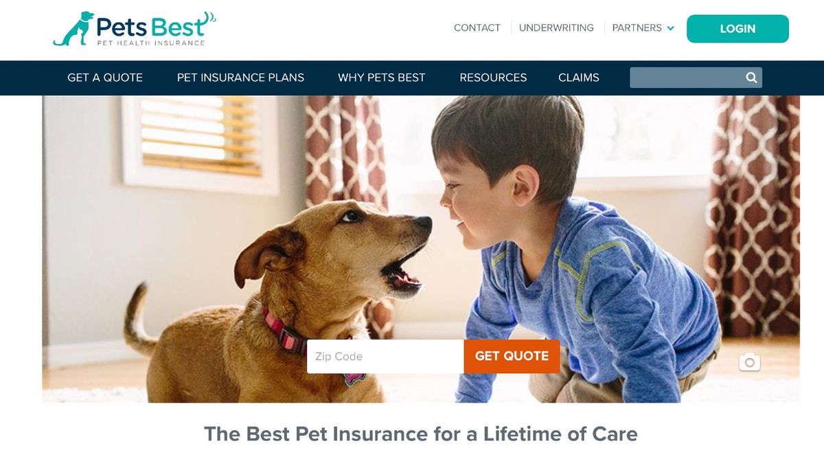 Best Pet Insurance That Covers Everything