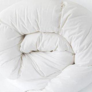 Goose Down Comforter against a white background.
