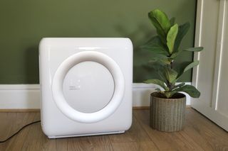 An air purifier next to a potted plant