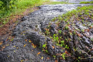 : Asphalt road, Pitch Lake, the largest natural deposit of asphalt in the world, La Brea, Trinidad and Tobago.
