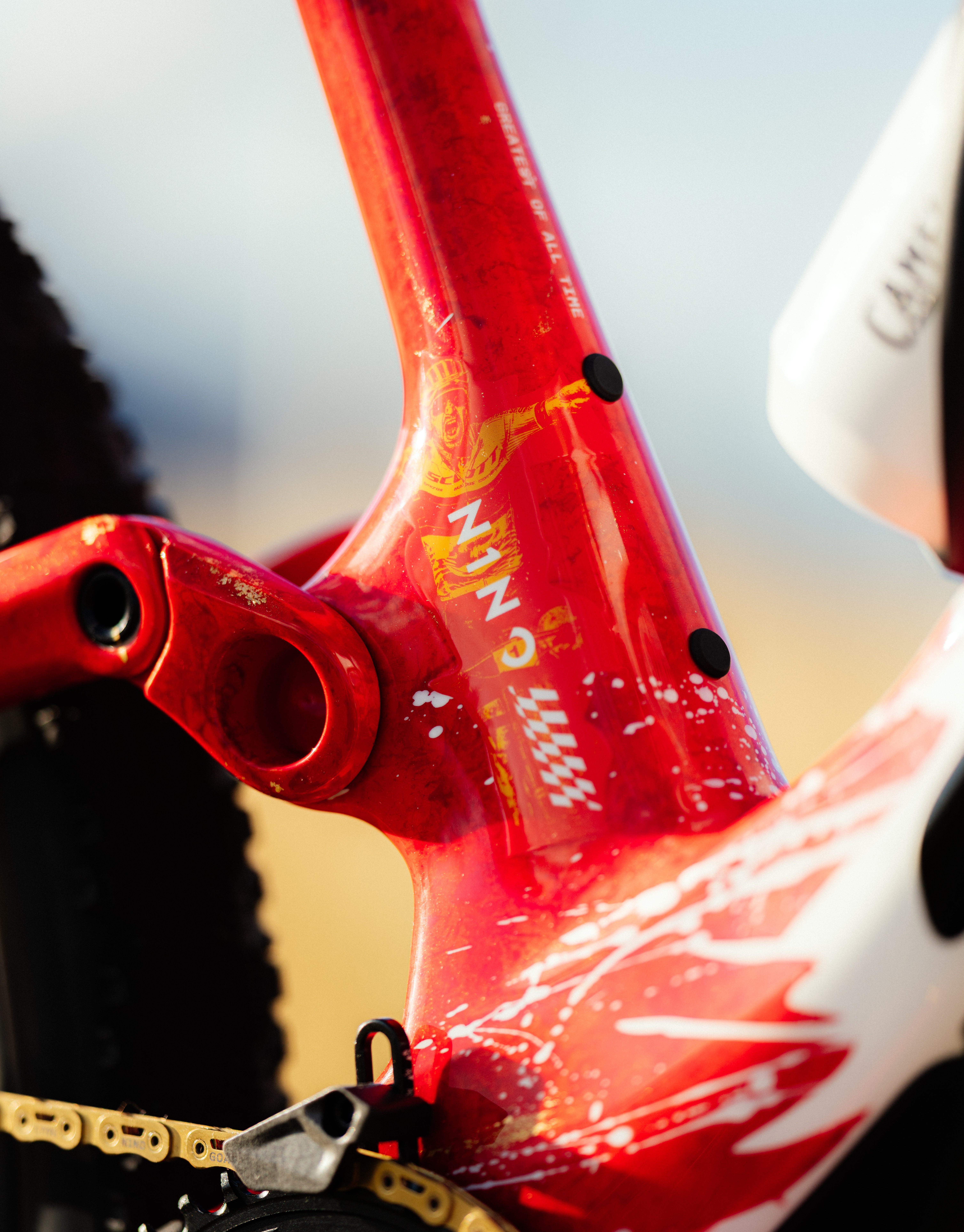 A Nino Shurter custom Scott Spark mtb