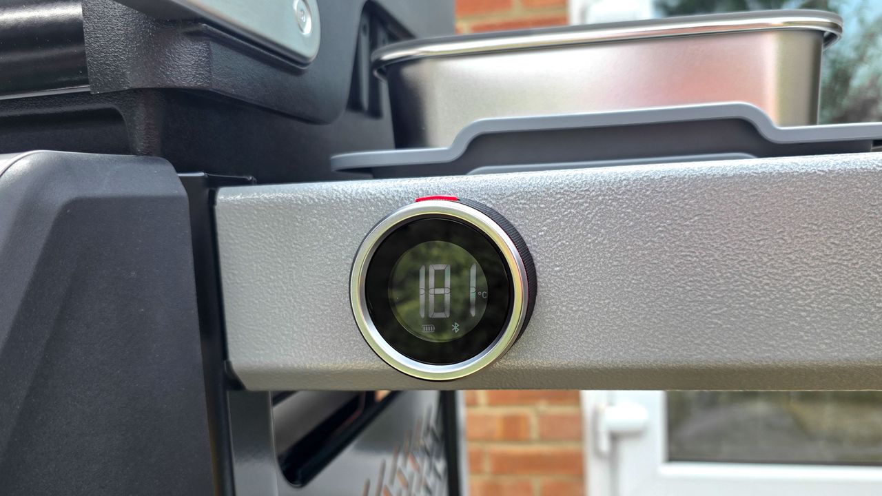 Weber Spirit EX325 grilling foods