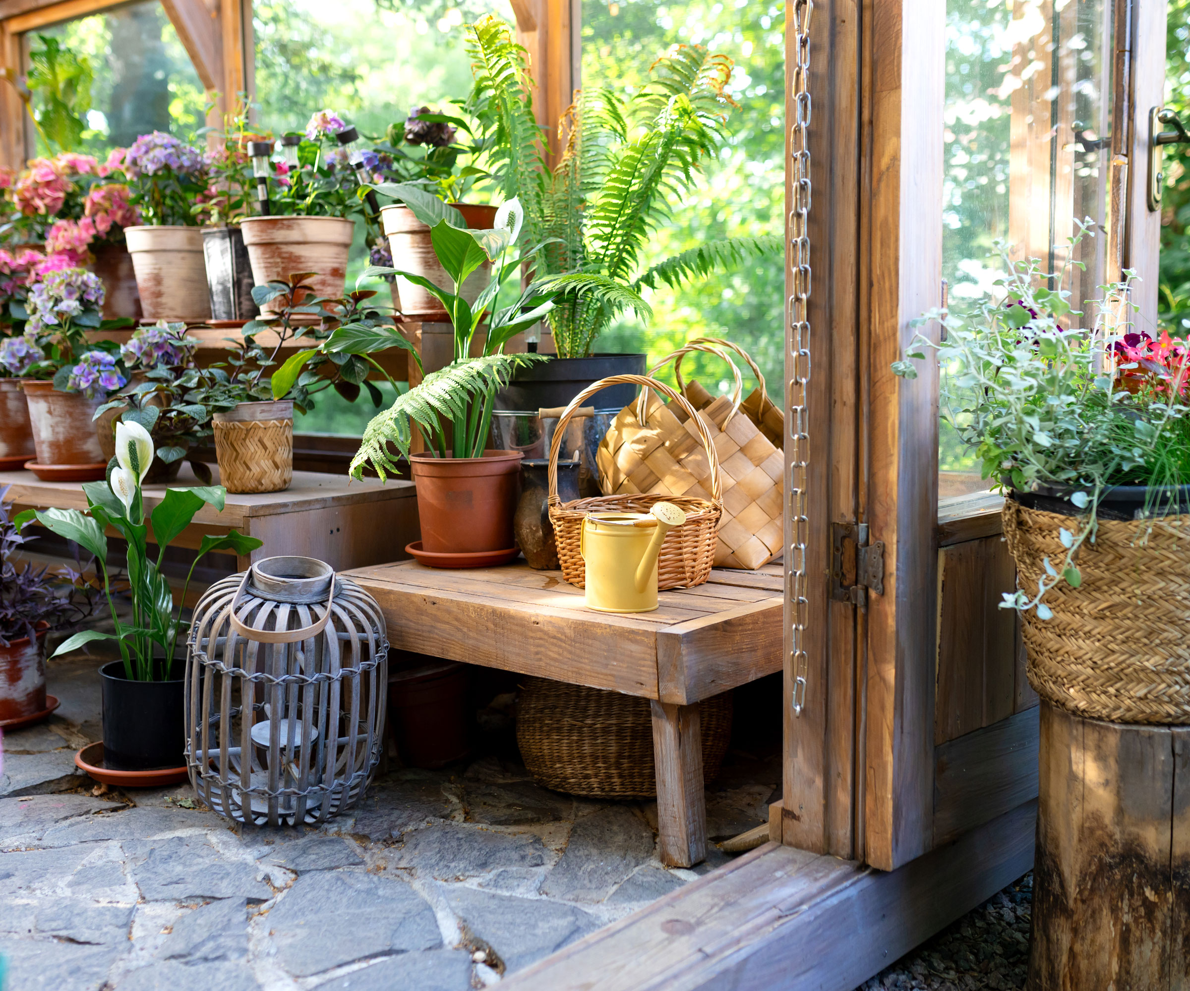 interior of greenhouse showing plants on tables and lampshade on floor