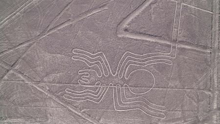 A spider is drawn into the landscape