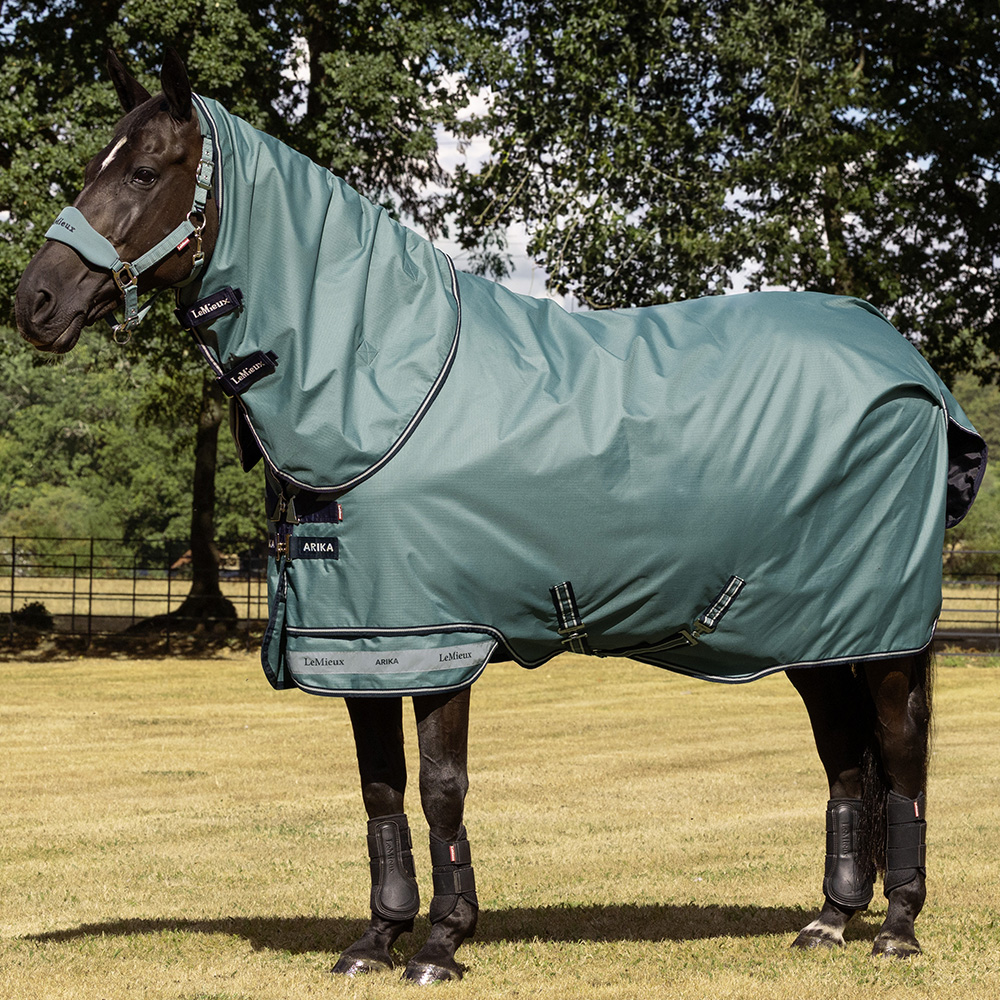 Horse in field wearing a LeMieux Aloe Arika Ripstop 0g Turnout Rug