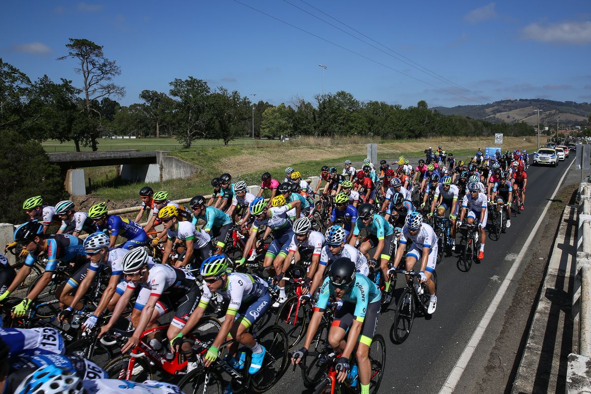 The peloton