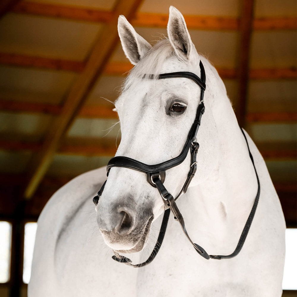 Grey horse wearing a Horseware Micklem bitless bridle