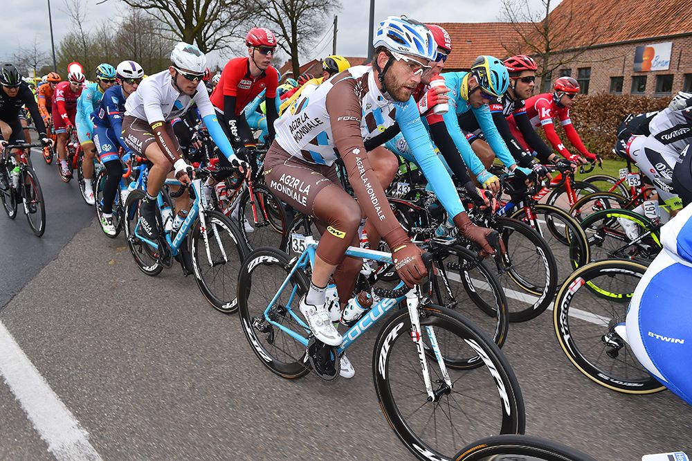 The peloton in the Scheldeprijs